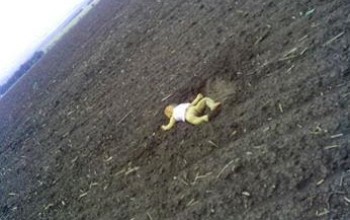 Ukrainian Govt release horrific pic of infant lying in a field, killed when rebels shot down plane