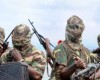 Boko Haram Takes Over Toll Gates in Borno, Abduct Politician’s Wife & Children