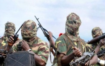 Boko Haram Takes Over Toll Gates in Borno, Abduct Politician’s Wife & Children
