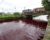 OMG! See PIctures, The 1st Plague? River Turns Blood Red In China 