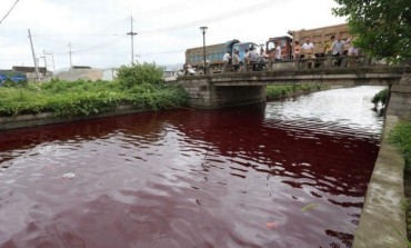 OMG! See PIctures, The 1st Plague? River Turns Blood Red In China 