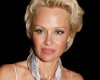 Pamela Anderson Rejects ALS Ice Bucket Challenge Over Animal Cruelty