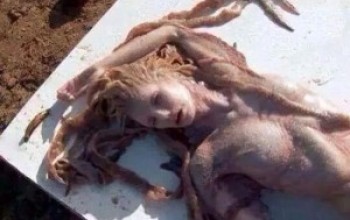 Pictures: Dead Mermaid Spotted At A Popular Beach In Benin Republic