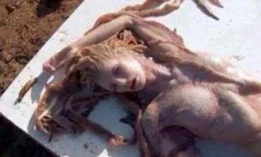 Pictures: Dead Mermaid Spotted At A Popular Beach In Benin Republic