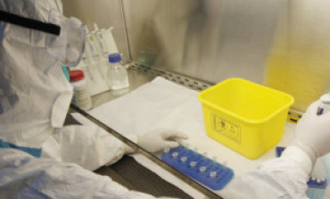 Ebola: British Researchers Partnering with Dangote to Release Vaccine by December