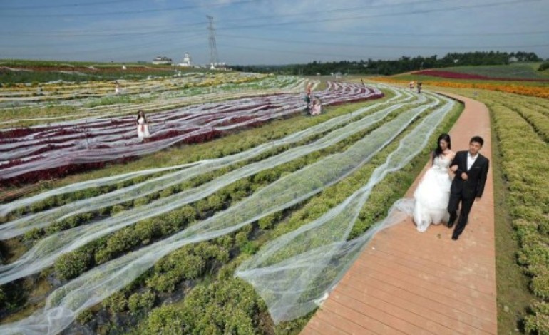 WOW! Chinese Woman Aims at World Record with 4.82km Dress Train