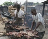 MUST Watch the VICE documentary on Bush Meat and the Ebola Outbreak in Liberia | FG in Nigeria bans Bushmeat Imports