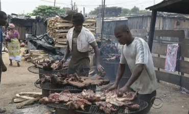 MUST Watch the VICE documentary on Bush Meat and the Ebola Outbreak in Liberia | FG in Nigeria bans Bushmeat Imports