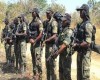 Cameroon Government Extradites 246 Run Away Nigerian Soldiers