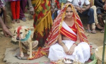 OMG! Indian Girl Marries Dog To Get Rid Of Evil Spirit