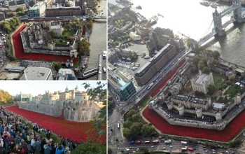 Circled by a sea of scarlet, aerial pictures show The Tower of London moat filled with nearly 900,000 poppies to commemorate the First World War