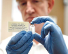 Expect Millions of Ebola vaccine doses by end of 2015- WHO 