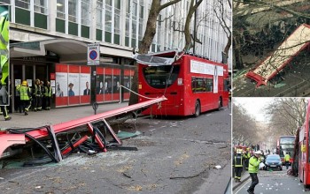 'I thought it was a BOMB': Passengers tell of terrifying moment double-decker's roof was ripped off by a TREE in centre of London - leaving five passengers injured