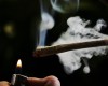 GET STONED?! Drivers Who Smoke Weed Are Safer Than Drunk Drivers