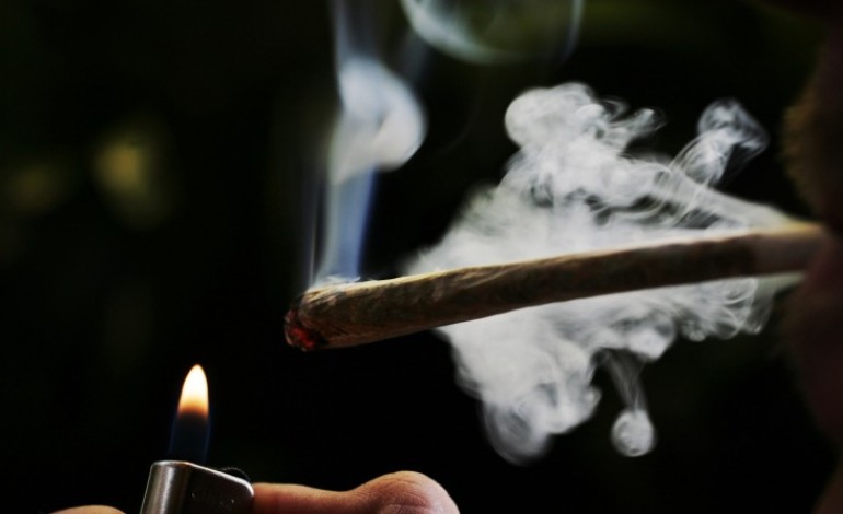 GET STONED?! Drivers Who Smoke Weed Are Safer Than Drunk Drivers