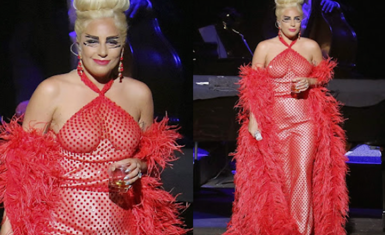 Photos: Lady Gaga goes bra less as she performs on stage
