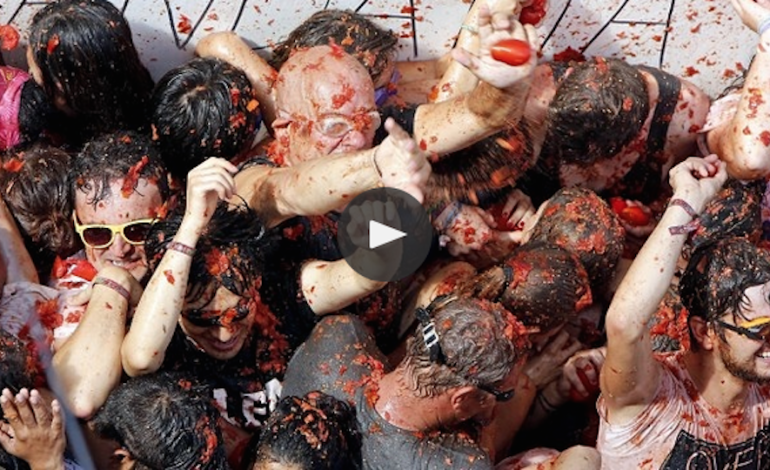 La Tomatina festival inspires a cheerfully messy Google doodle