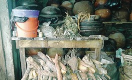Nigeria can earn N44tr yearly from herbal medicine