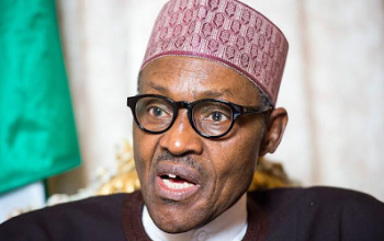 Buhari Never called Nigerians "Criminals"- Presidency