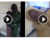 Videos: Young women abducted by Boko Haram terrorists rescued by local hunters in Borno State asking to be reunited with their families