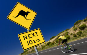 Kangaroo Bounds On Bikers, Breaking Breasts