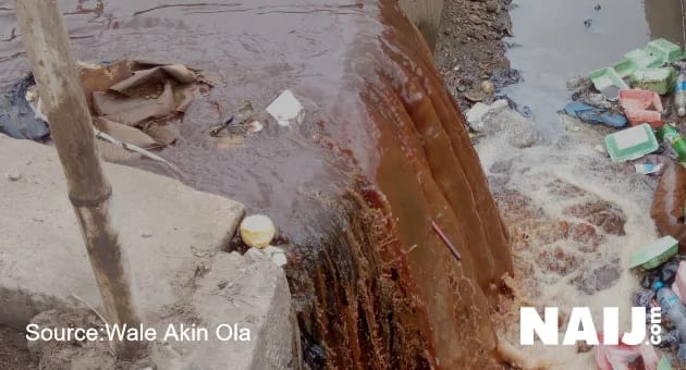 Liquid wastes flowing into open gutters enroute the huge canal (pictured above) at the Lagos abattoir.