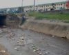 Oko-Oba: Lagos community where abattoir wastes unleash daily misery on residents