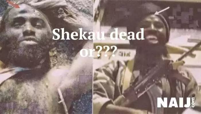 shekau-dead