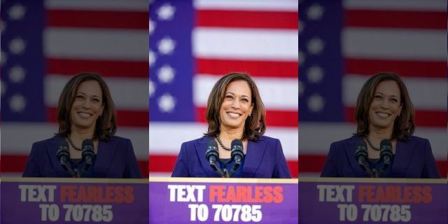 Democratic Sen. Kamala Harris, of California, smiles as she formally launches her presidential campaign at a rally in her hometown of Oakland, Calif., Sunday, Jan. 27, 2019. (AP Photo/Tony Avelar)