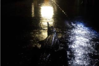 Australia floods: Crocodiles seen in ‘once in a century’ waters