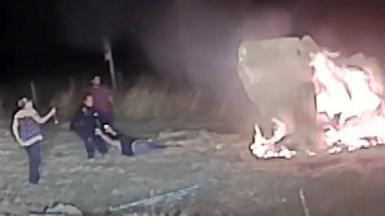Police officer pulls woman from burning car